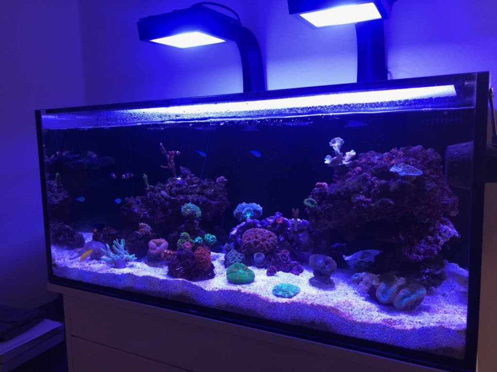 fish tank led light bar.